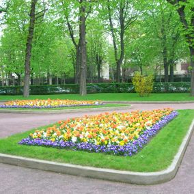 Deux parterres fleuris