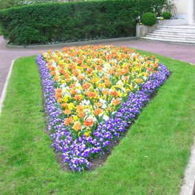 Parterre fleuri